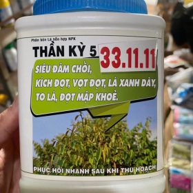 THẦN KỲ 5 