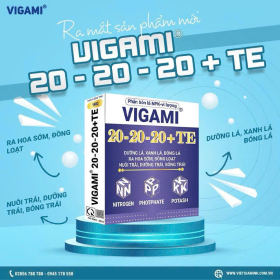 UIGAMI 20 - 20 - 20 TE