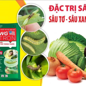 ĐẶC TRỊ SÂU KHÁNG THUỐC
