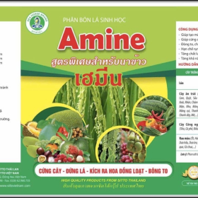 PHÂN BÓN LÁ AMINE