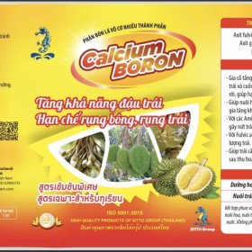 CALCIUM BORON