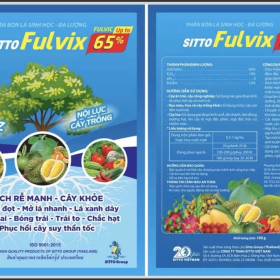 SITTO FULVIX