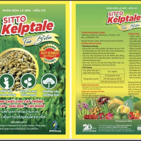 SITTO KELPTALE