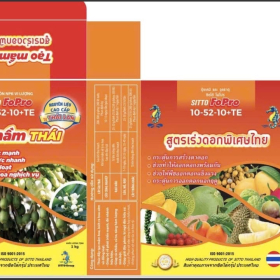 NPK 10-52-10+TE