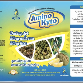 AMINO KYTO