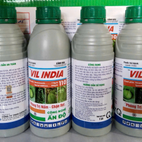 VIL INDIA