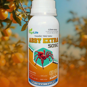 ABBY EXTRA