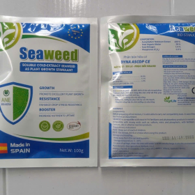 SEAWEED DẠNG GÓI