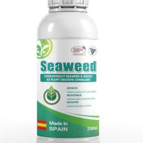 SEAWEED DẠNG NƯỚC