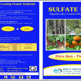 SULFATE ĐỒNG