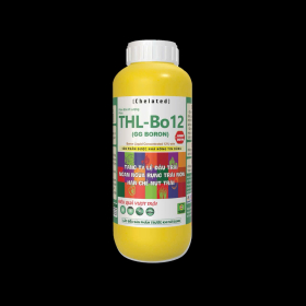 THL BO 12