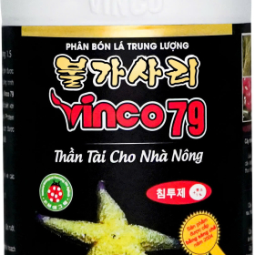 VINCO 79