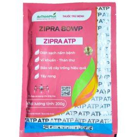 ZIPRA ATP