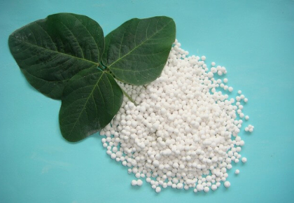 Vai trò của vi lượng trong phát triển cây trồng mà ít người biết