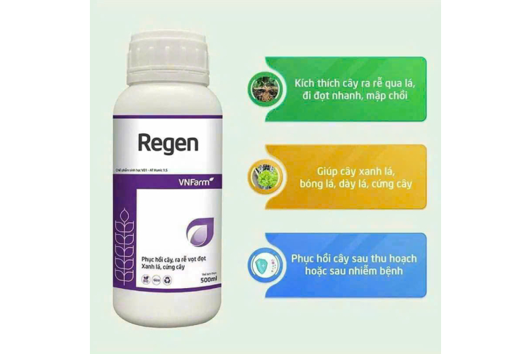 REGEN 500ML VNFARM
