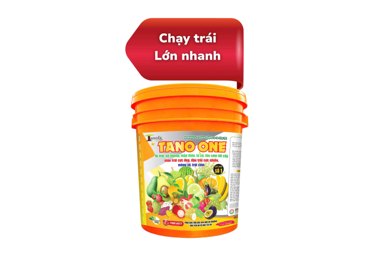 TANO ONE BA TỐT