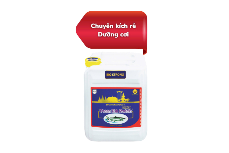 DỊCH CÁ CAN 3 TỐT