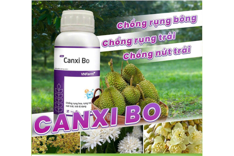 CANXI BO 1L VNFARM
