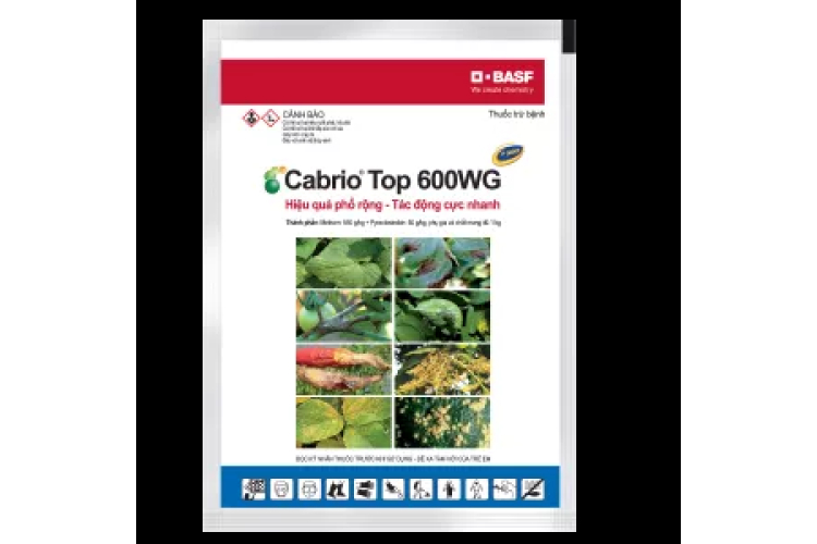 Cabrio® Top 600WG