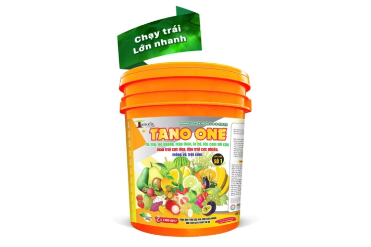 TANO ONE BA TỐT