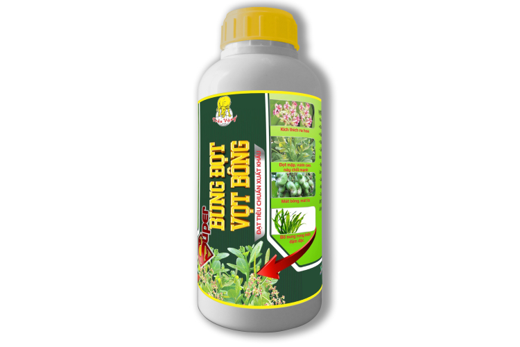 Phân bón ĐIỀU-SUPER BUNG ĐỌT VỌT BÔNG (Trâu Vàng)