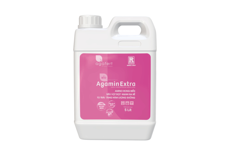 AGAMIN EXTRA 5L THL