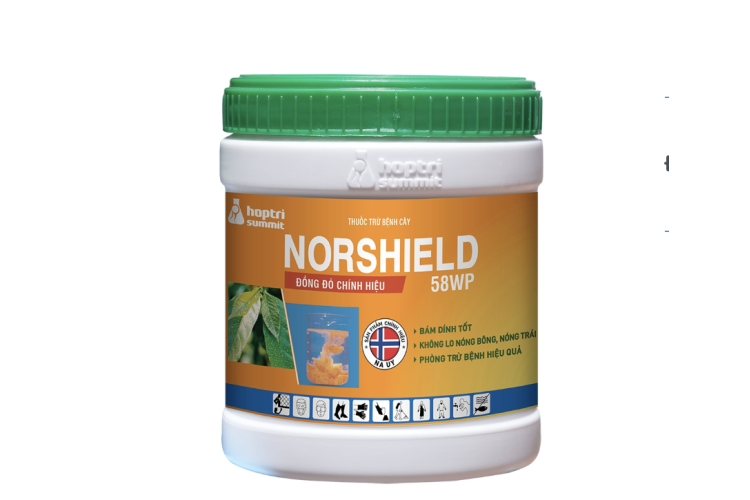 THUỐC TRỪ BỆNH CÂY NORSHIELD 58WP HỢP TRÍ - HŨ 400G 