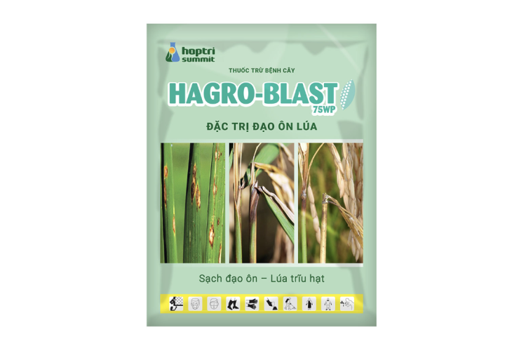 THUỐC TRỪ BỆNH HAGRO BLAST 75WP