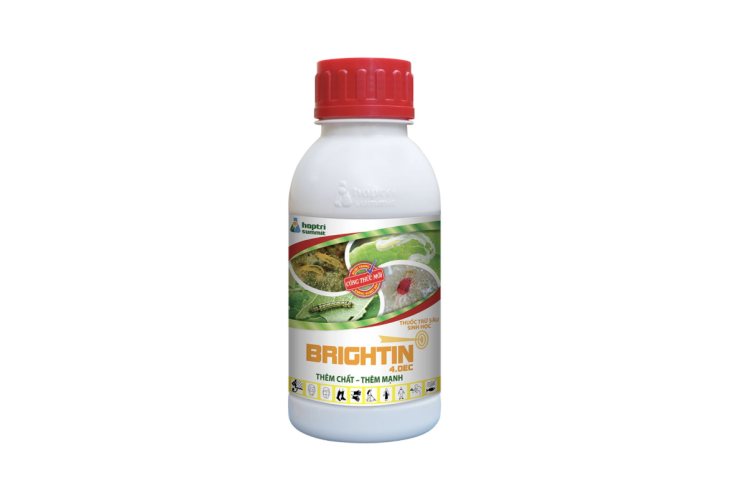 BRIGHTIN 4.0 EC HỢP TRÍ