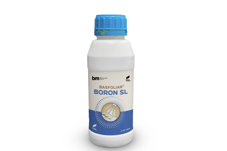 PHÂN BÓN LÁ BASFOLIAR® BORON SL