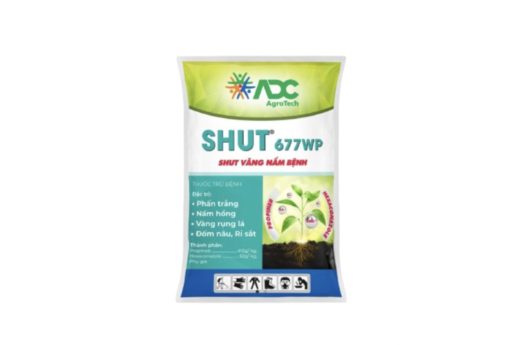 THUỐC TRỪ BỆNH SHUT 677WP 