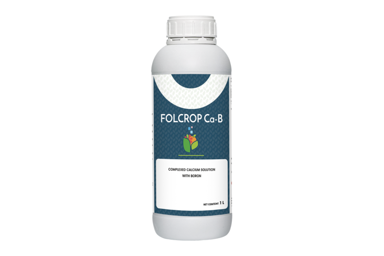 PHÂN BÓN VI LƯỢNG FOLCROP CA-B 