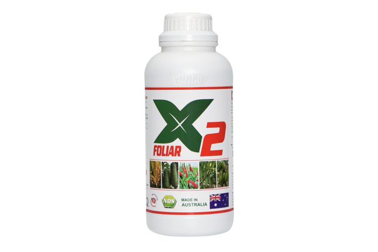 PHÂN BÓN LÁ NPK BỔ SUNG TRUNG VI LƯỢNG X2 FOLIAR (VINCO)