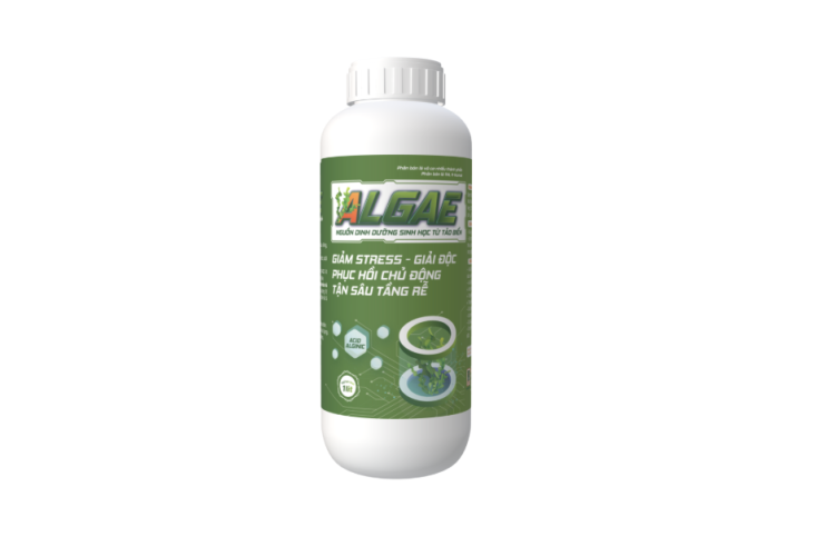 PHÂN BÓN LÁ ALGAE