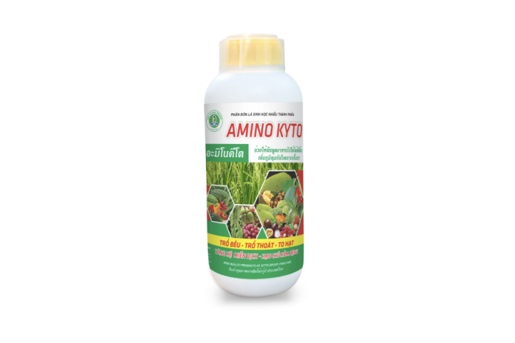 PHÂN BÓN LÁ SINH HỌC AMINO KYTO (SITTO)