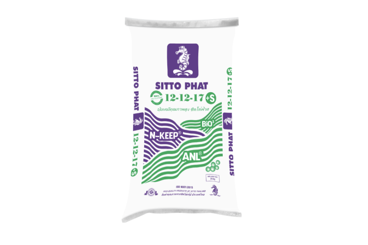 SITTO PHAT 12-12-17+S MM (Bao 25kg)