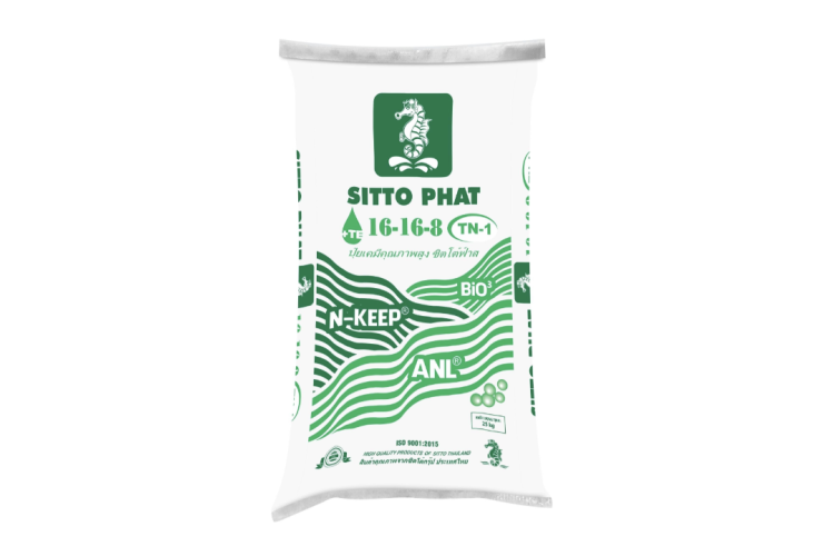 Phân bón SITTO PHAT 16-16-8+TE MM (Bao 25kg)
