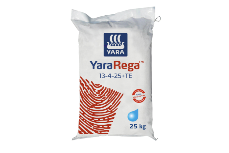 Phân bón NPK hoà tan YaraRega 13-4-25+TE