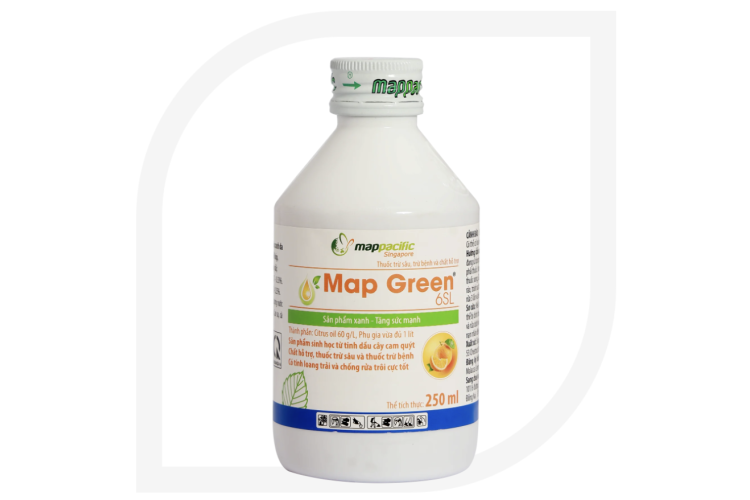 Map Green 6SL 
