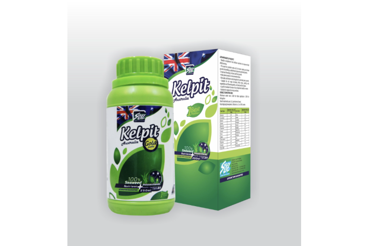 KELPIT CHAI 250ML