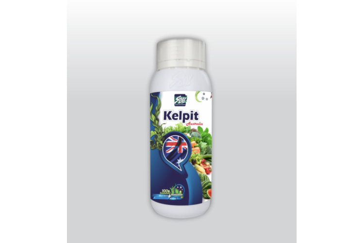 Phân bón KELPIT CHAI 500ML 