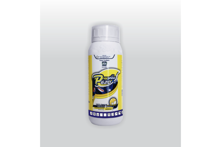 THUỐC TRỪ BỆNH SPRAYPHOS 620SL 500ml