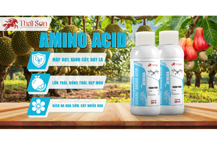 VIGAMI® AMINO ACID - ATHENA