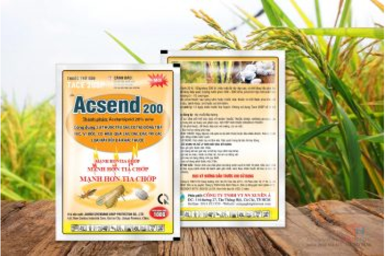 ACSEND 200SP
