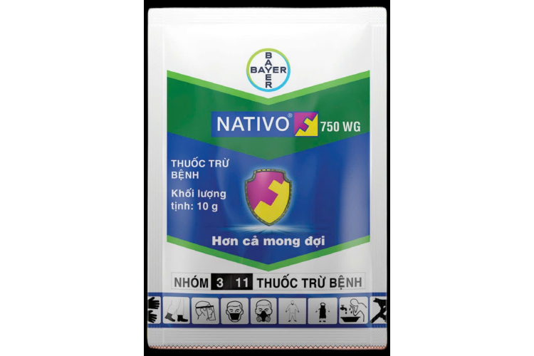 NATIVO 750 WG 3 11 10G BAYER