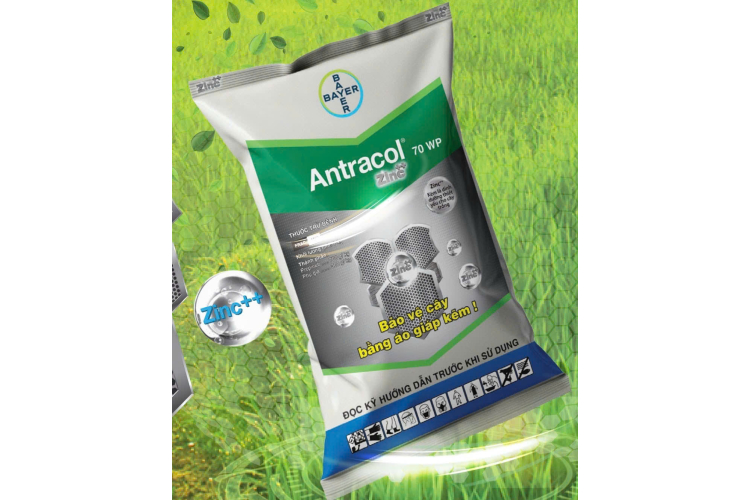 ANTRACOL ZINC 70 WP BAYER