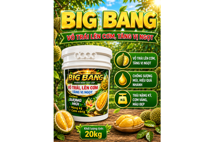 Phân Bón BIG BANG dành cho sầu riêng (NGN)