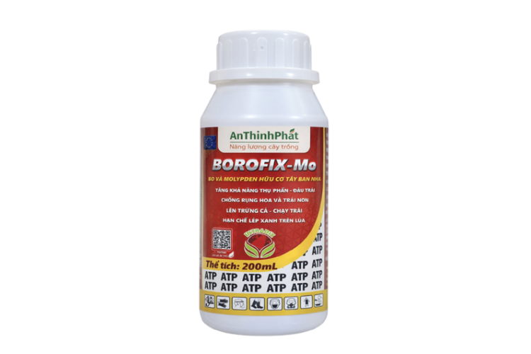 BOROFIX - MO