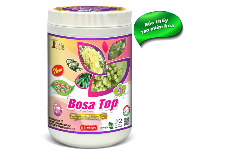 BOSA TOP