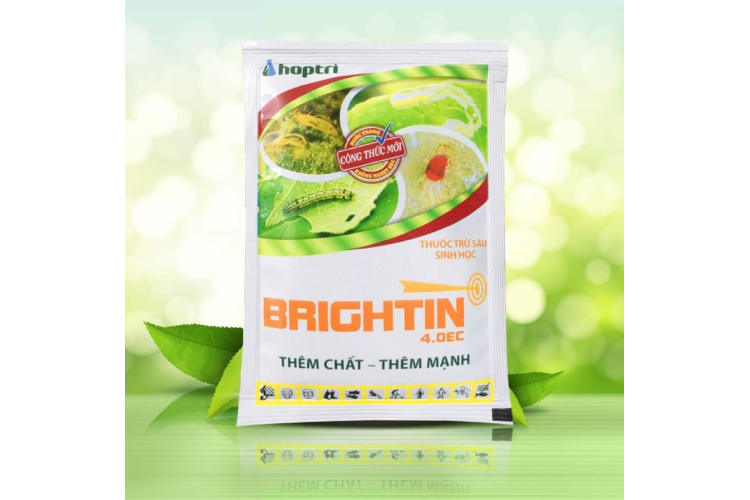 BRIGHTIN 4.0 EC HỢP TRÍ